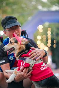 BIB: 
                            <button type="button" onclick="openModal(28052116)" class="btn btn-primary btn-sm float-right btn-popup" data-toggle="modal" data-target=".modal-high-quality">
                        <i class="fas fa-shopping-cart"></i> Add to Cart
                    </button>
                                            <button type="button" onclick="isThisMe(28052116, true)" class="btn btn-success btn-sm float-right btn-popup btn-isme hidden" data-toggle="tooltip" data-placement="bottom" title="นี่คือรูปของคุณใช่ไหม คลิกที่นี่เพื่อเอาเข้าอัลบั้ม">
                        <i class="fas fa-plus"></i> Add to album
                    </button>
                    <button type="button" onclick="isThisMe(28052116, false)" class="btn btn-warning btn-sm float-right btn-popup btn-isnotme hidden">
                        <i class="fas fa-ban"></i> Remove from album
                    </button>